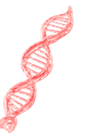 PDRN + Vitamin A