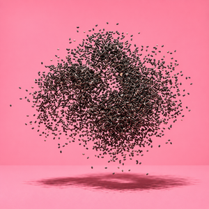 Chia Seed Fiber