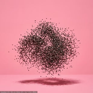 Chia Seed Fiber